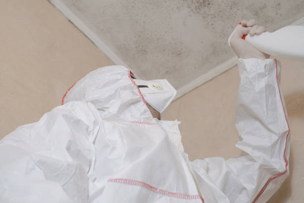 Best Crawl Space Mold Removal  in Castle Point, MO