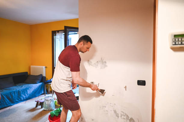Best Mold Removal and Inspection  in Castle Point, MO